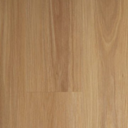 Blackbutt