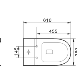 T6096 — LYON Tornado- Rimless Toilet Suite